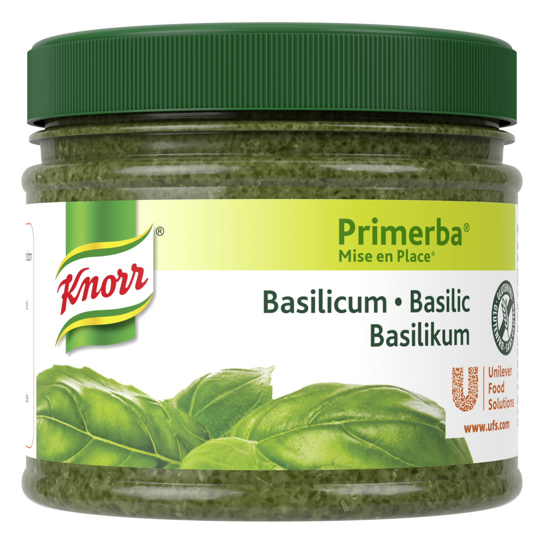 Knorr Primerba Busuioc - 